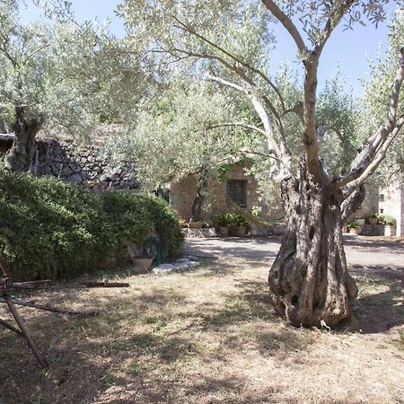 Villa Es Coco, Soller Puerto de Sóller エクステリア 写真