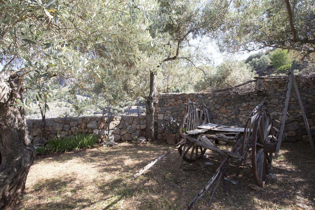 Villa Es Coco, Soller Puerto de Sóller エクステリア 写真