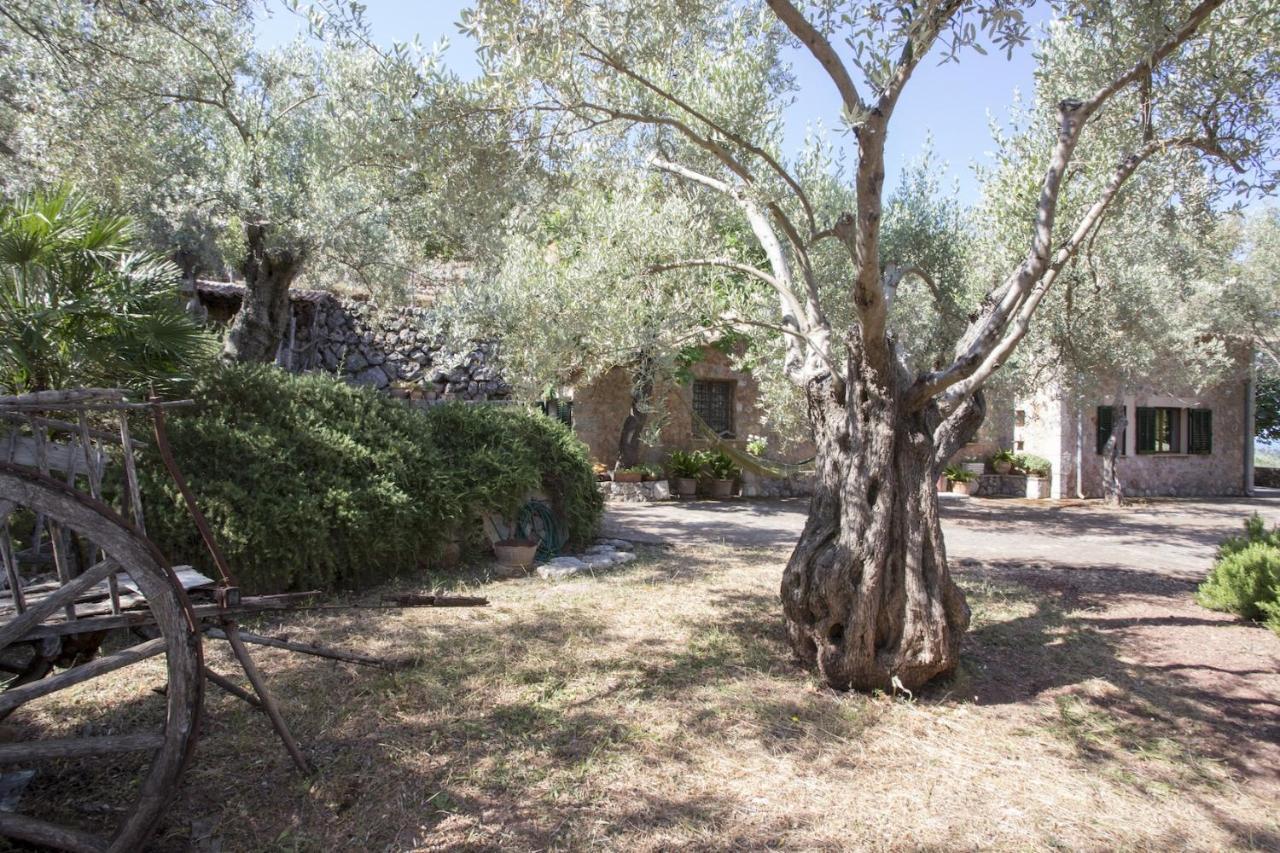 Villa Es Coco, Soller Puerto de Sóller エクステリア 写真