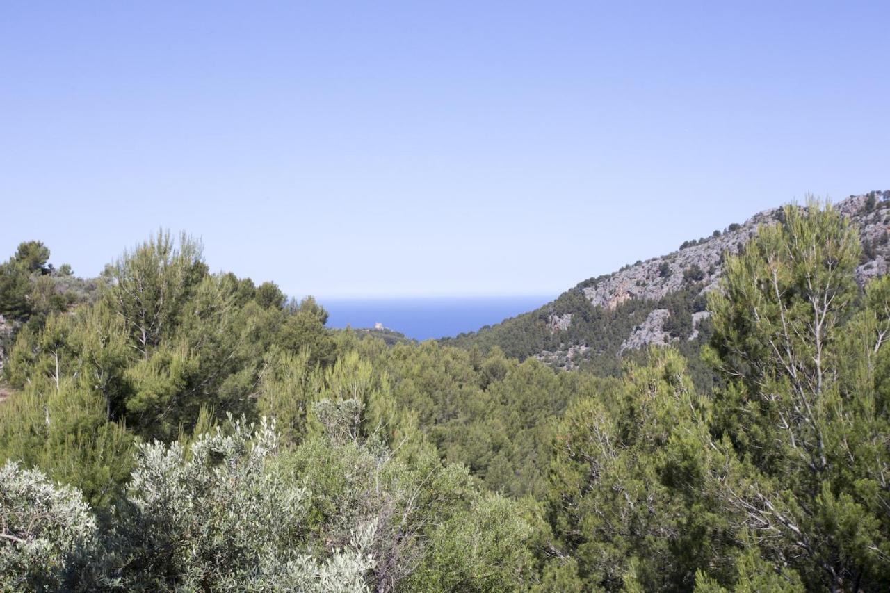 Villa Es Coco, Soller Puerto de Sóller エクステリア 写真