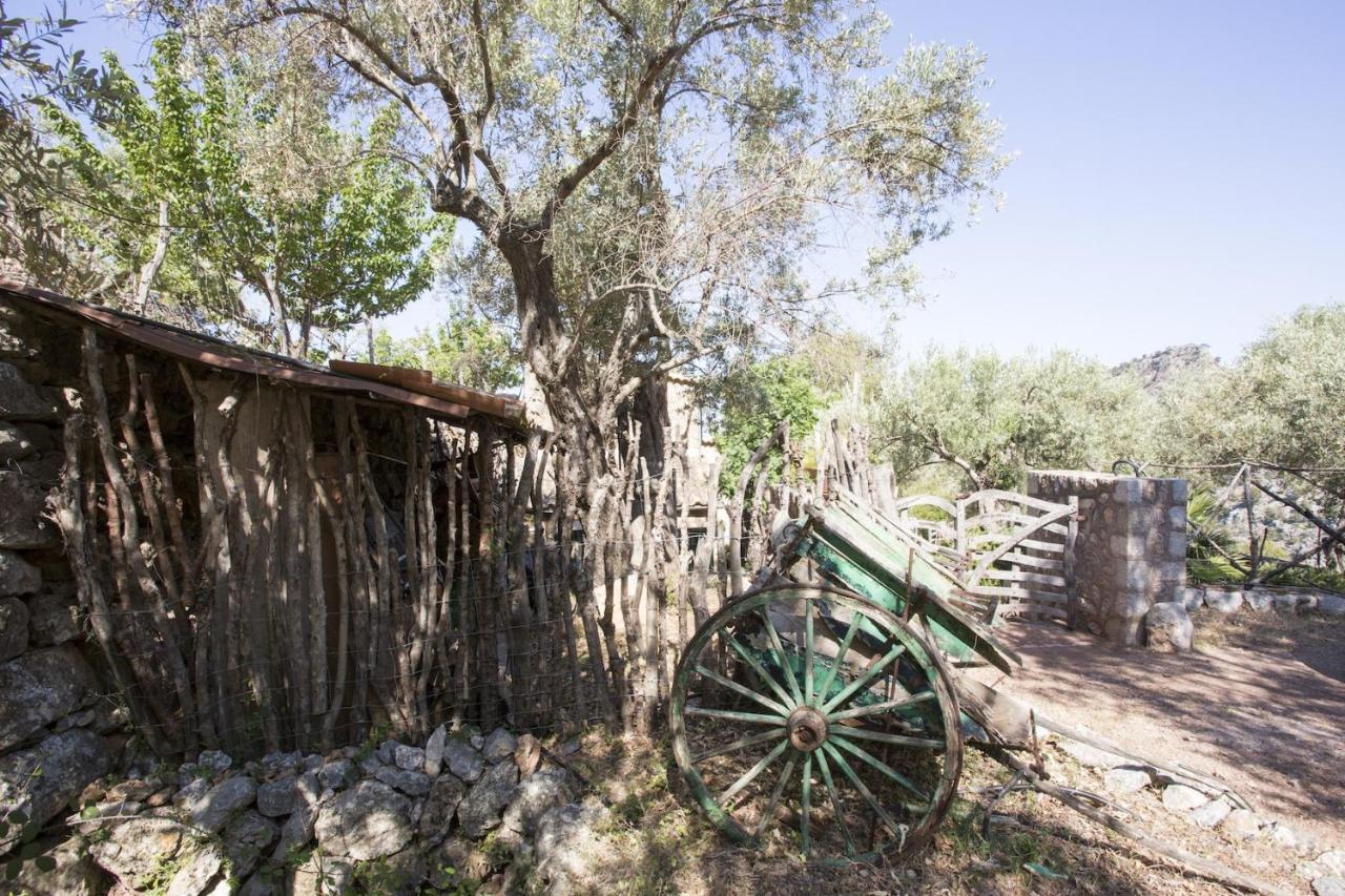 Villa Es Coco, Soller Puerto de Sóller エクステリア 写真