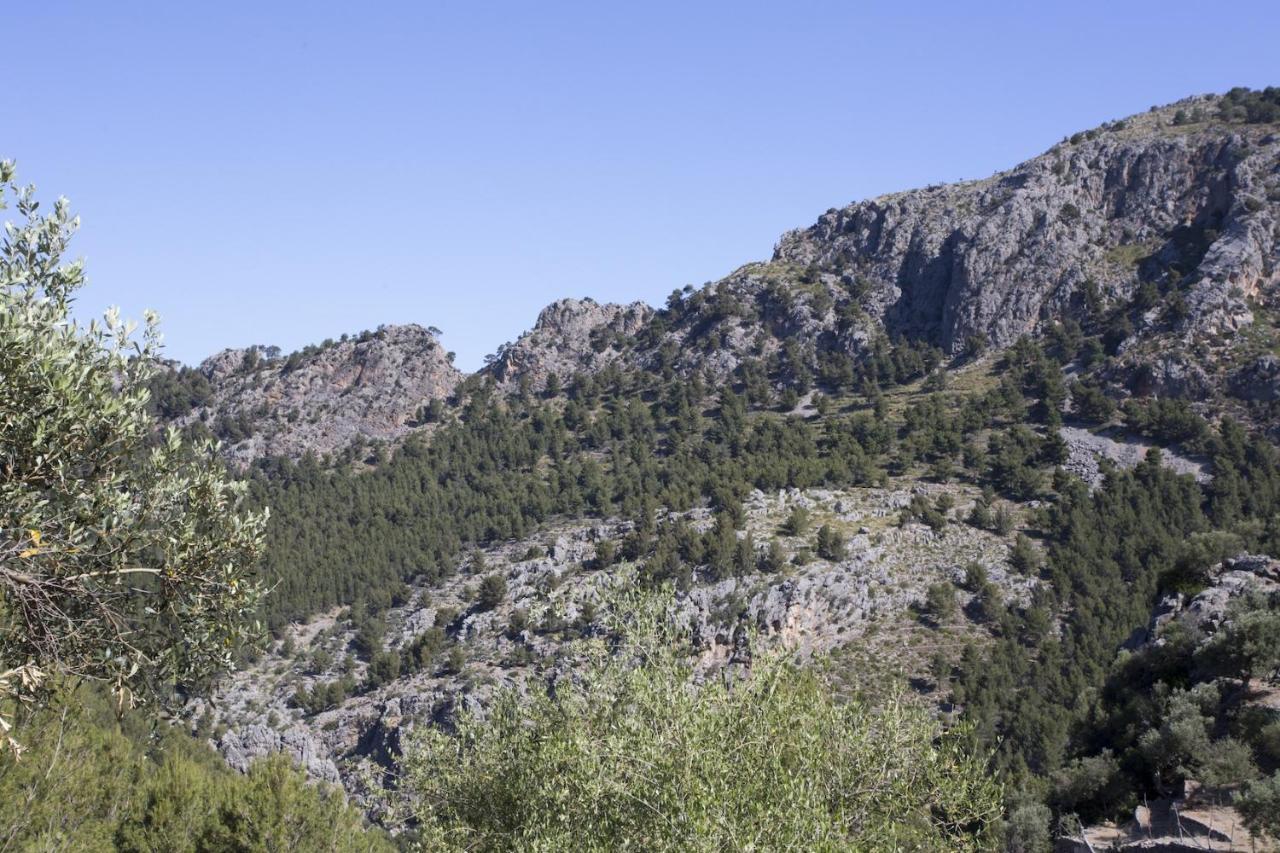 Villa Es Coco, Soller Puerto de Sóller エクステリア 写真